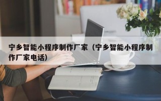 黄石宁乡智能小程序制作厂家（宁乡智能小程序制作厂家电话）