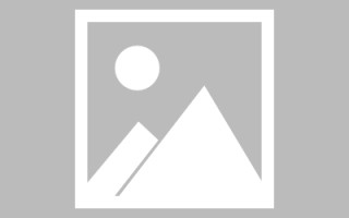 黄石网站建设许昌论坛（许昌网站seo）